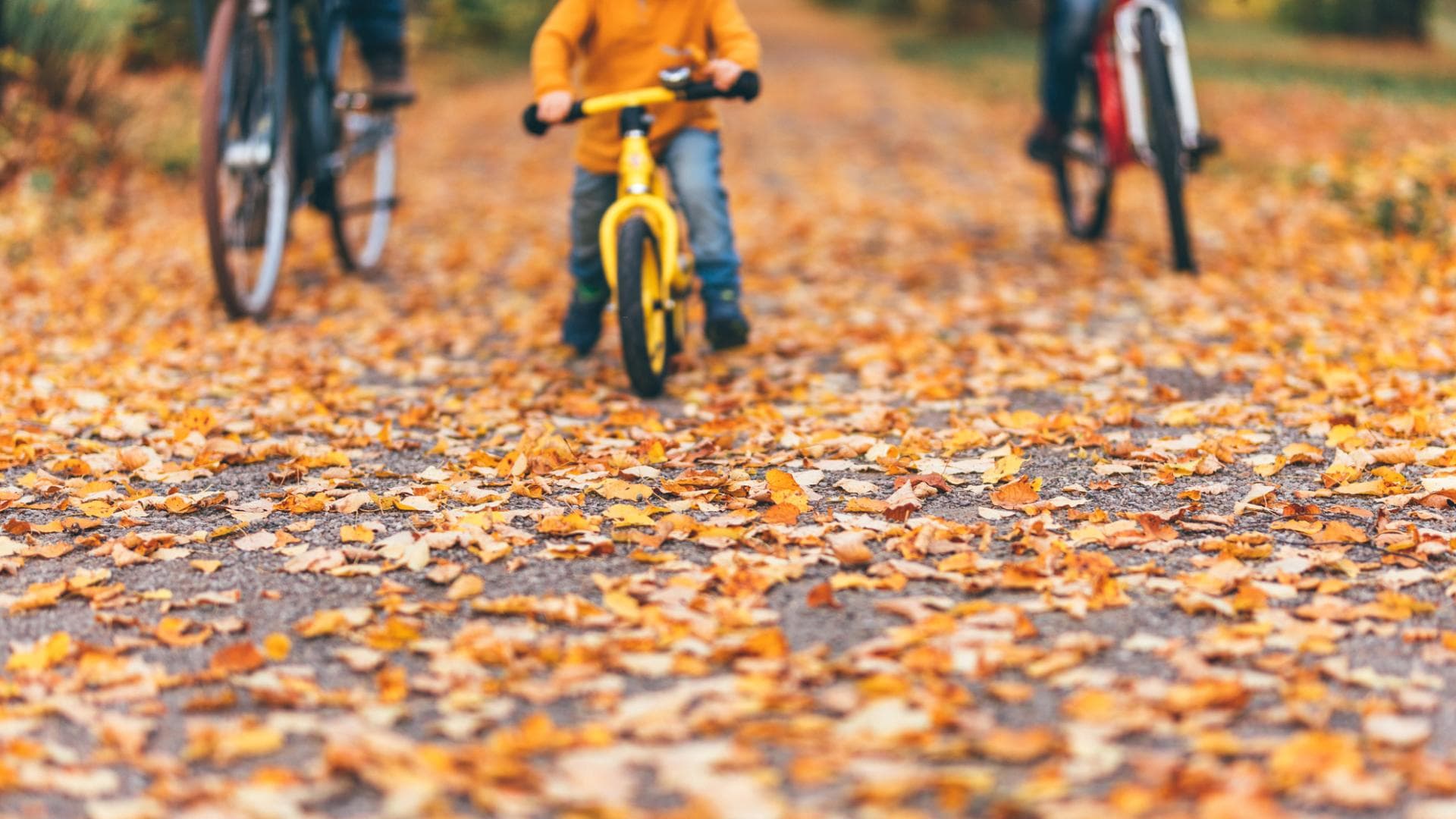 Fahrradfahren im Herbst