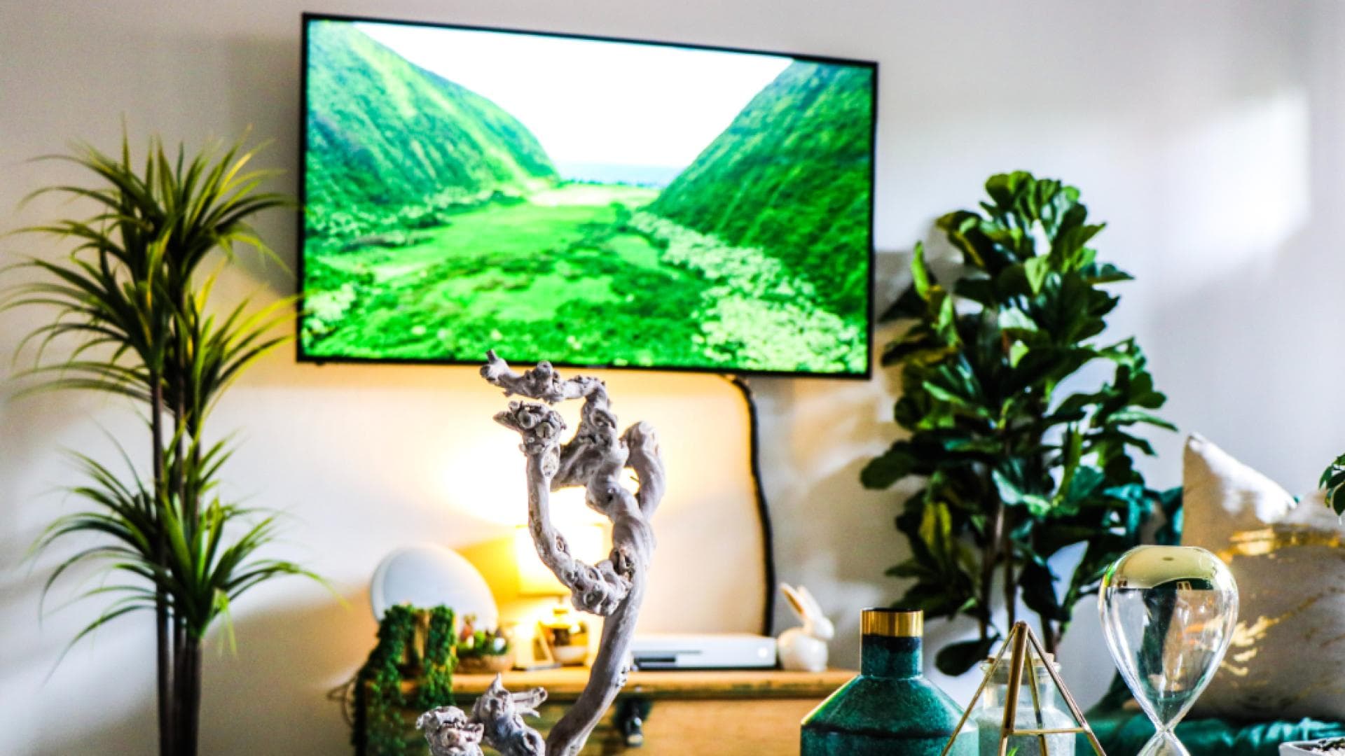 Fernseher mit Naturbild