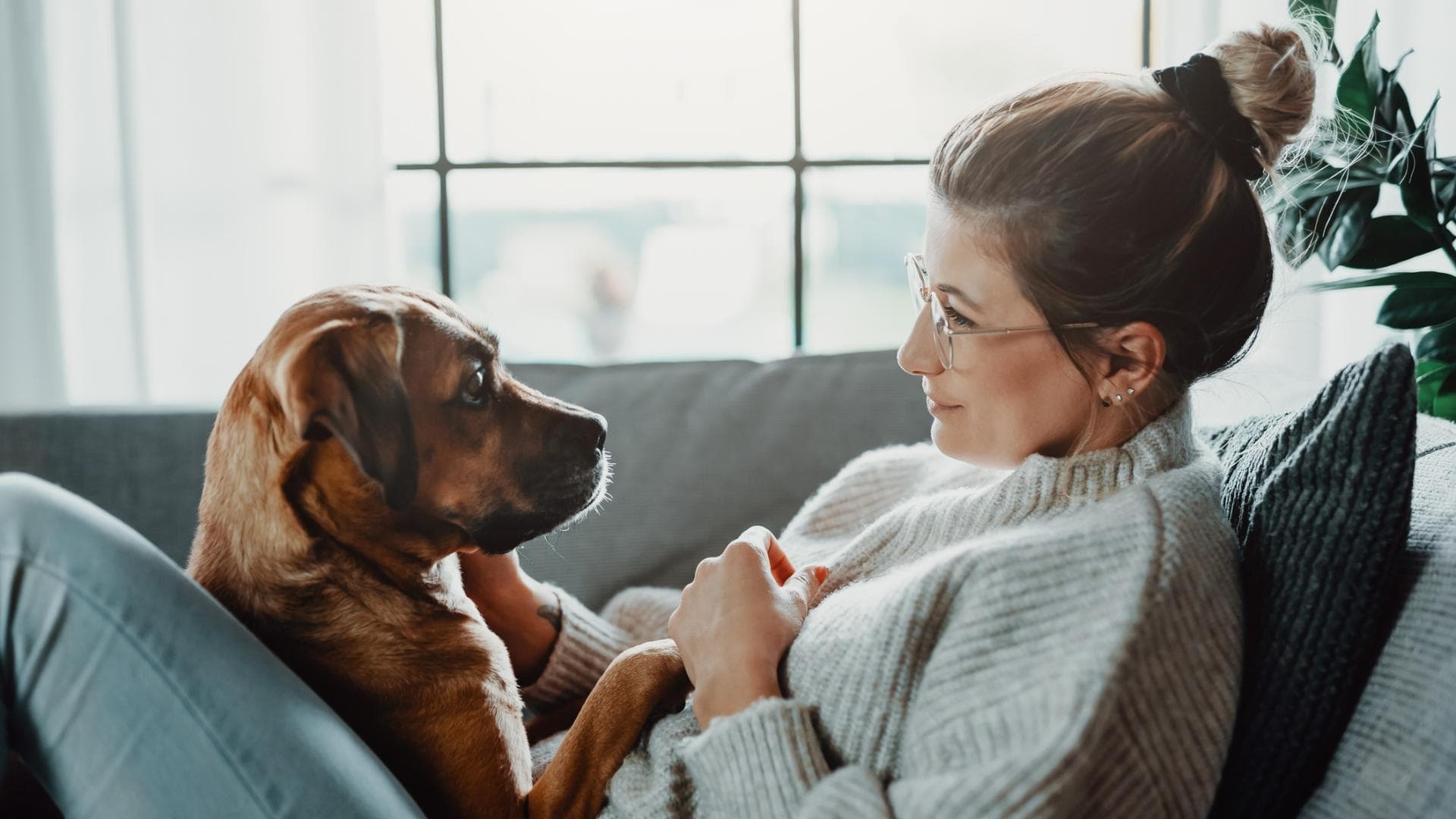 Frau kuschelt mit Hund
