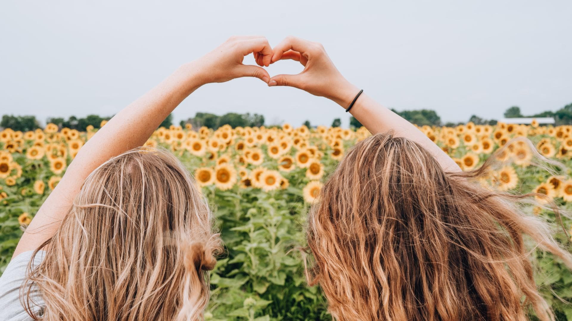 Frauen vor Sonnenblumen