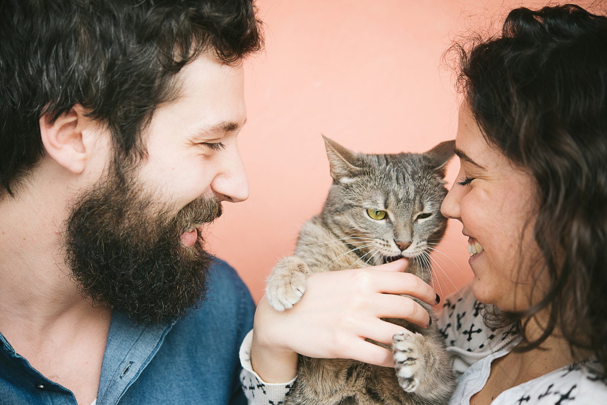 Katze beißt? Diese 5 Gründe können dahinter stecken