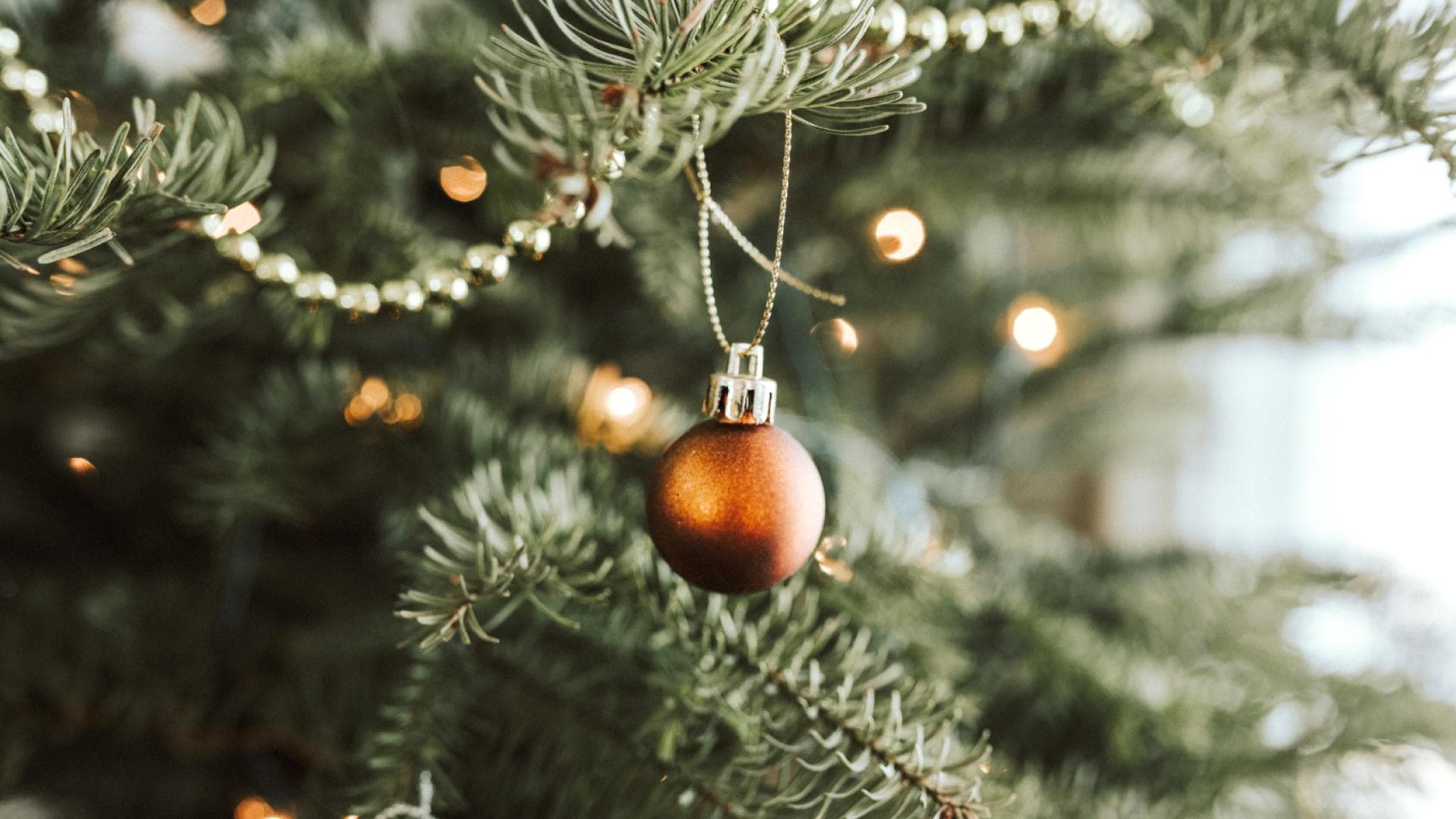 Weihnachtsbaum frisch halten