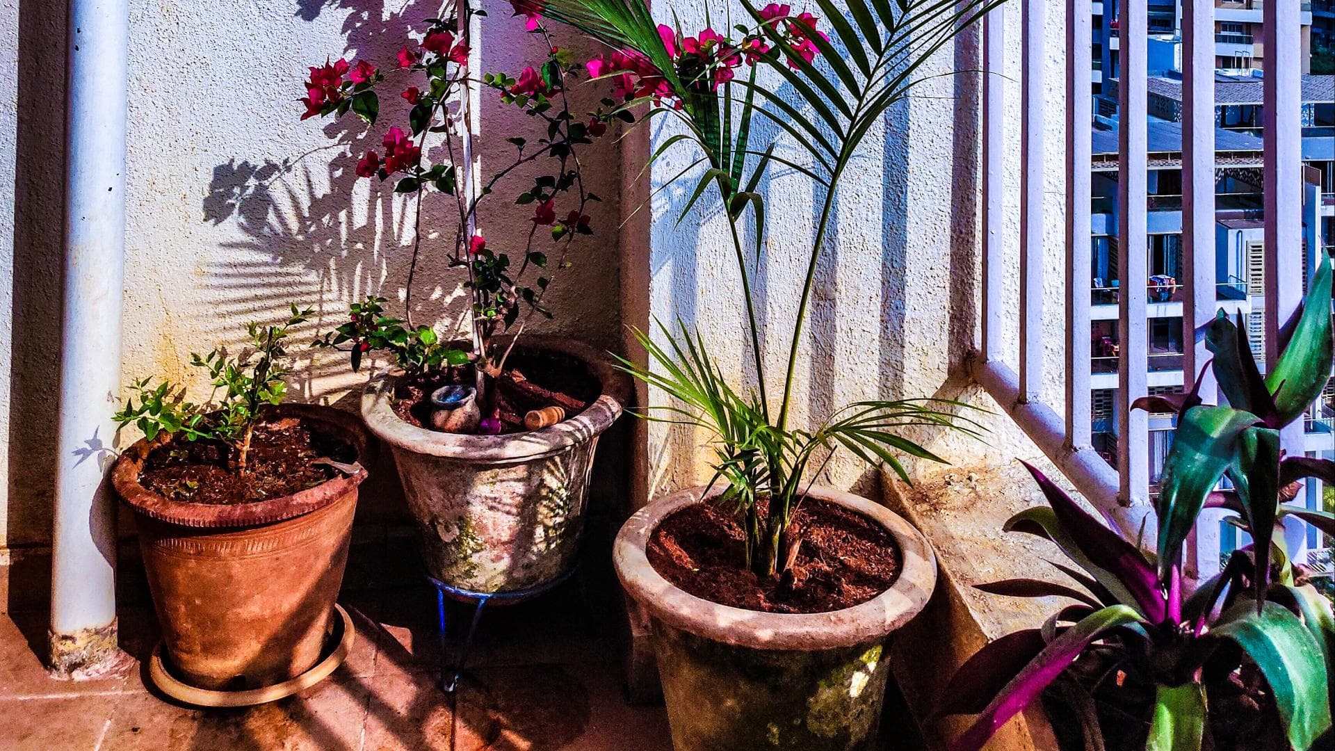 Töpfe für draußen 