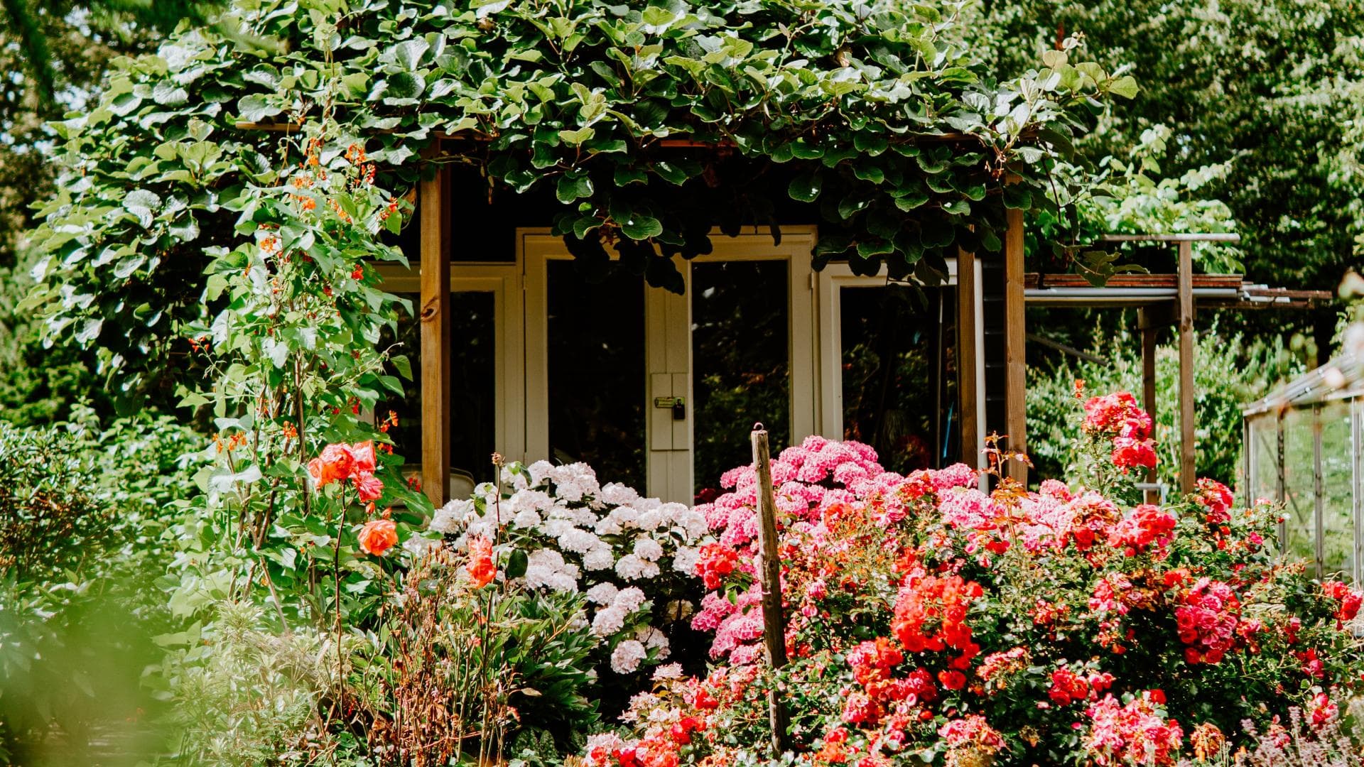 Allergikerfreundlicher Garten 
