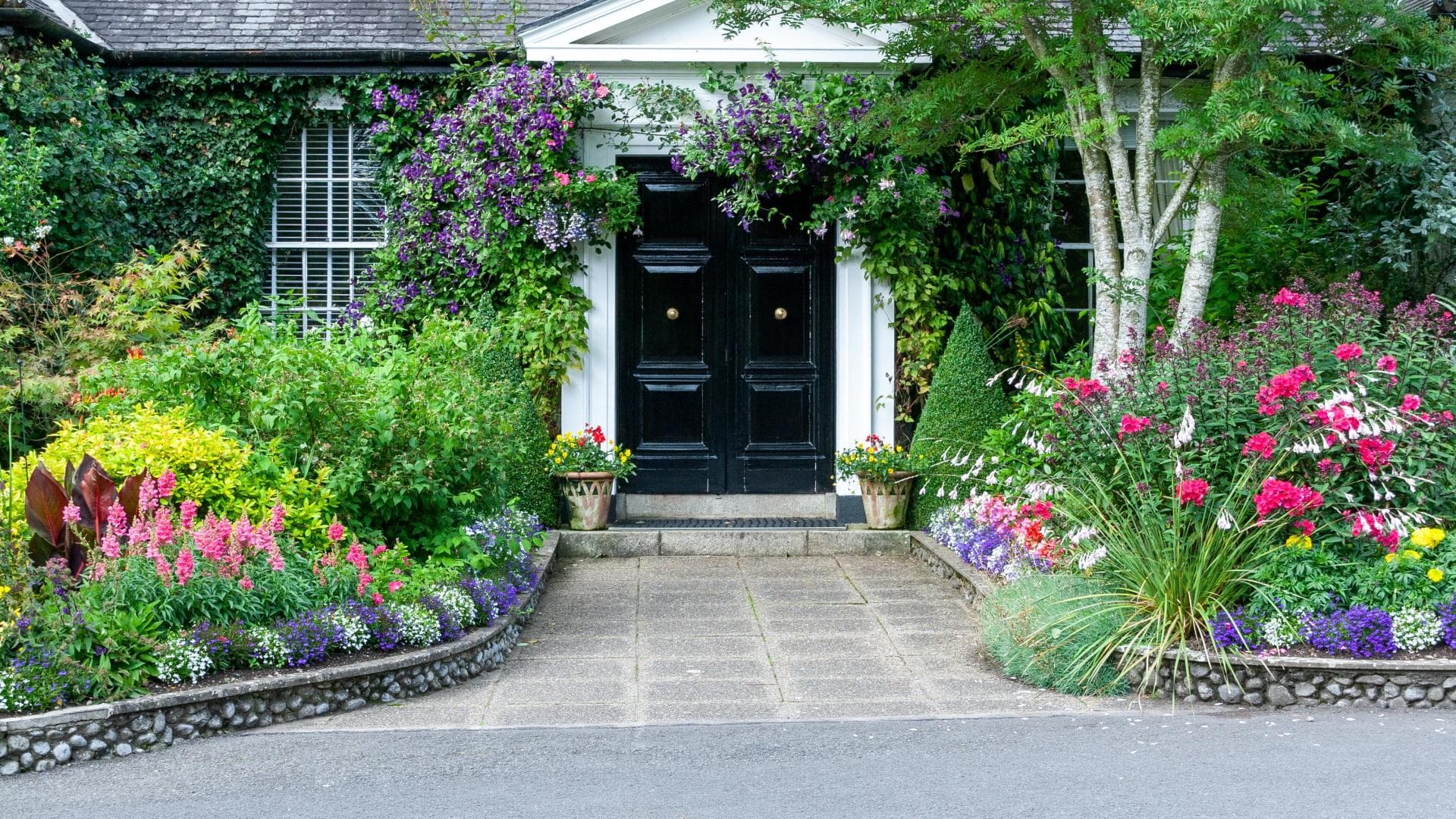 Farbenfroher Vorgarten 