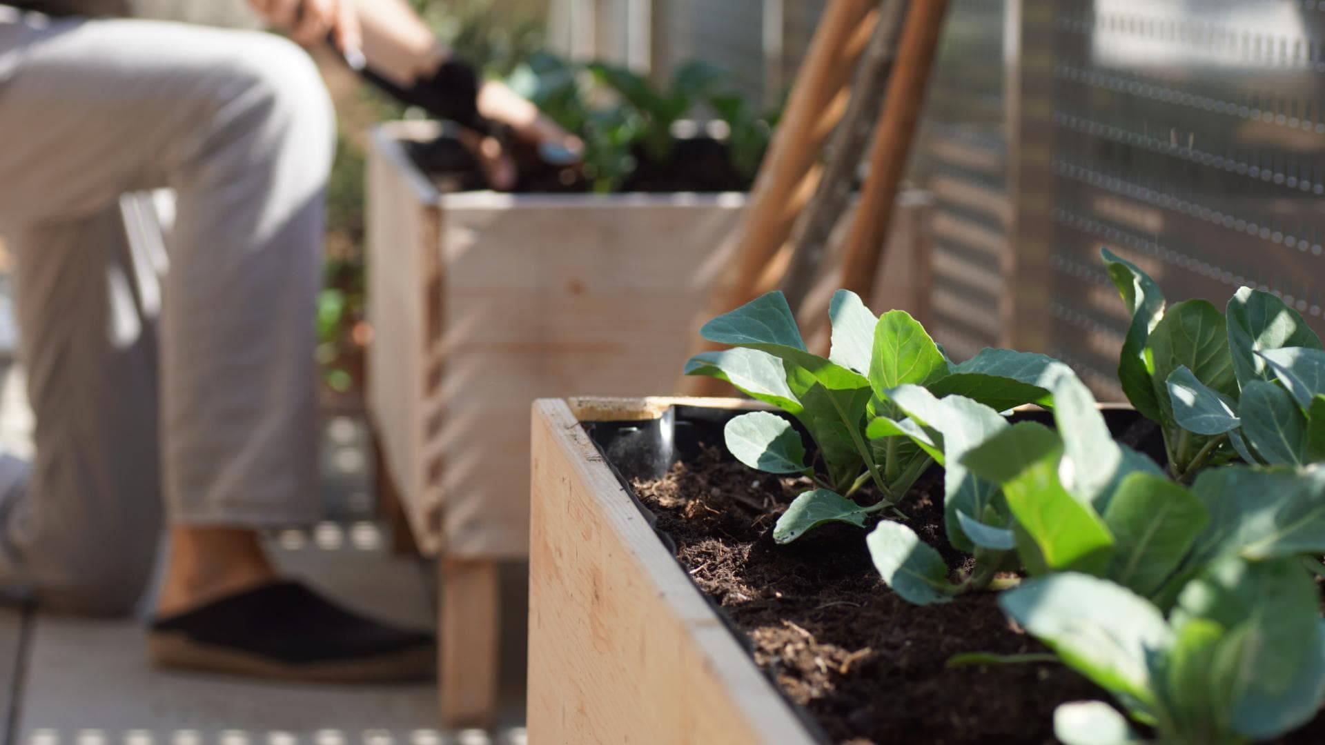 Hochbeet auf Balkon