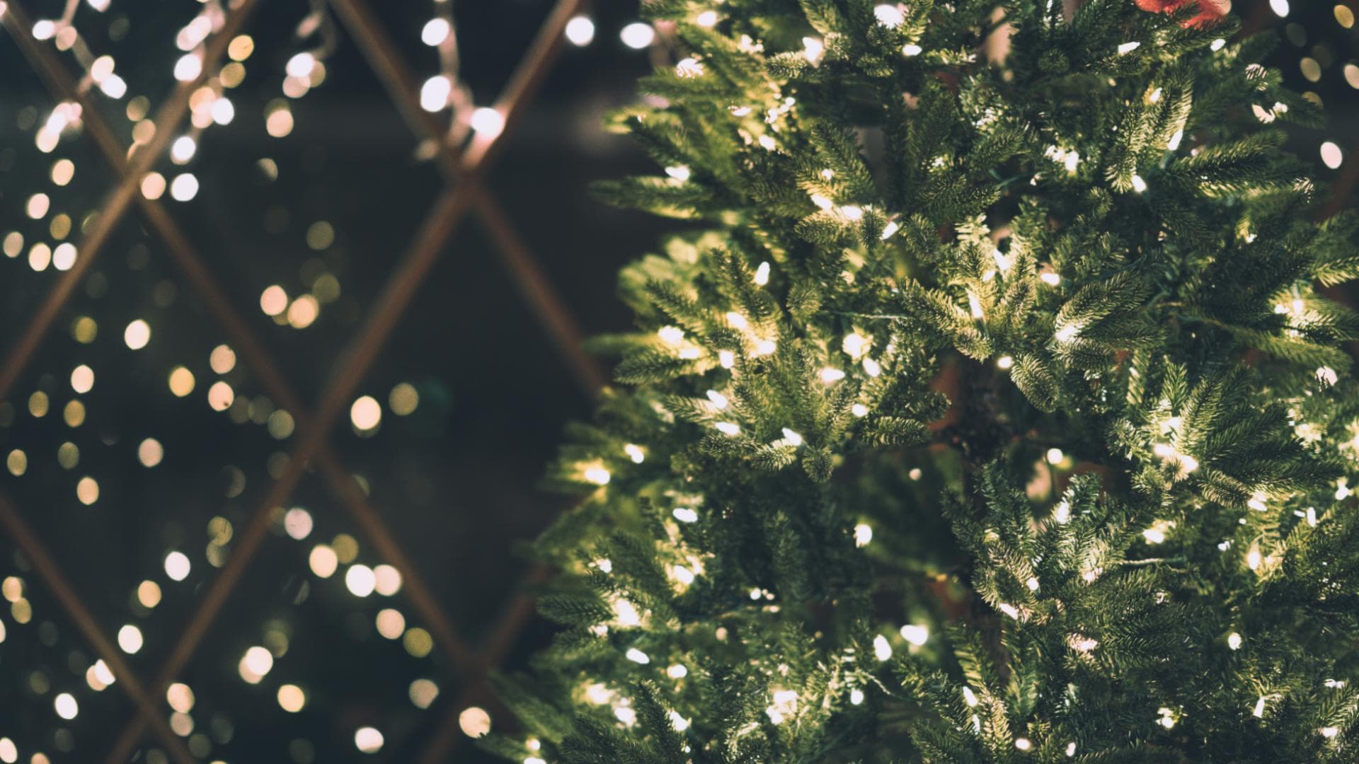 Weihnachten Wichtige Infos: Ein Umfassender Leitfaden zum deutschen Weihnachtsfest