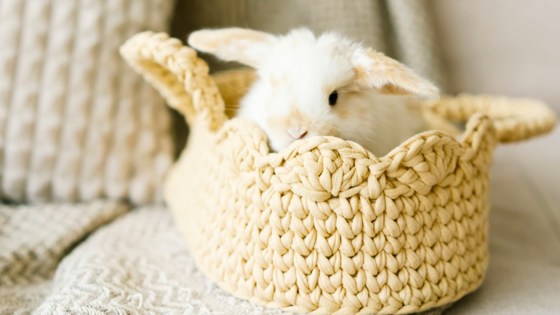 Gehäkeltes Osterkörbchen Gehäkeltes Osterkörbchen