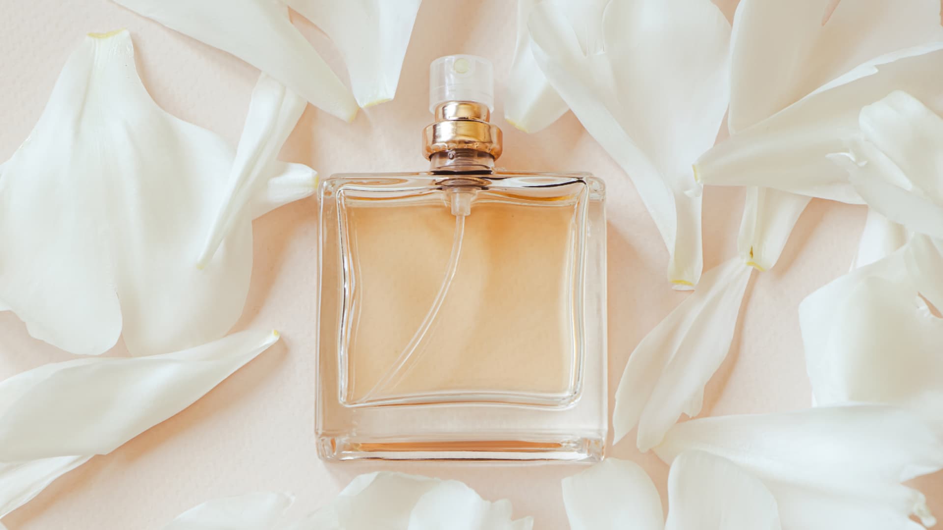 Parfüm für die Hochzeit