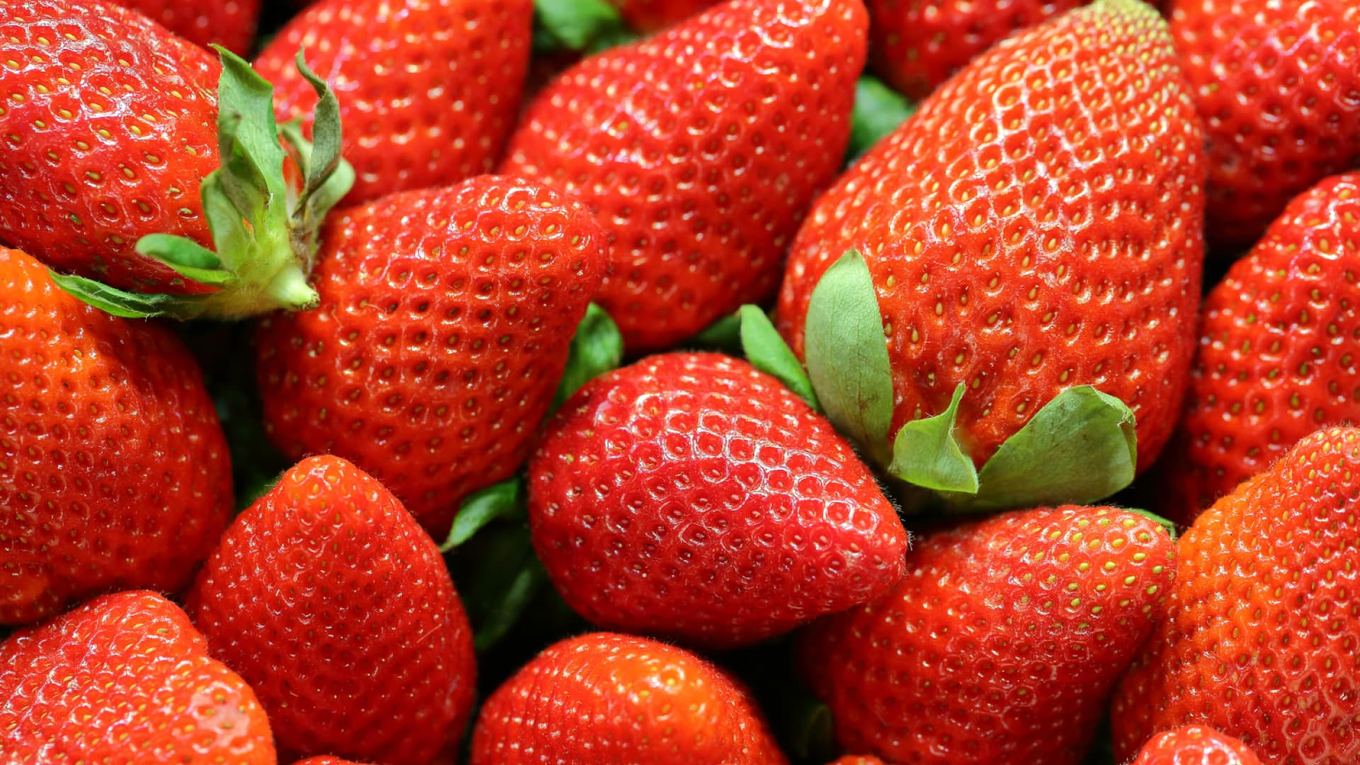 Mit Salzwasser gewaschene Erdbeeren