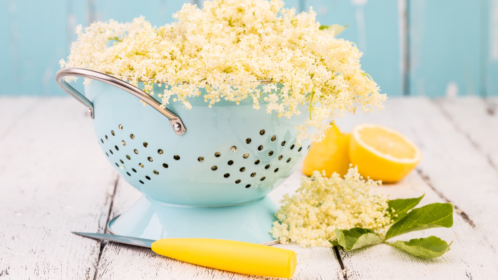 Holunderblüten werden für ein Rezept vorbereitet