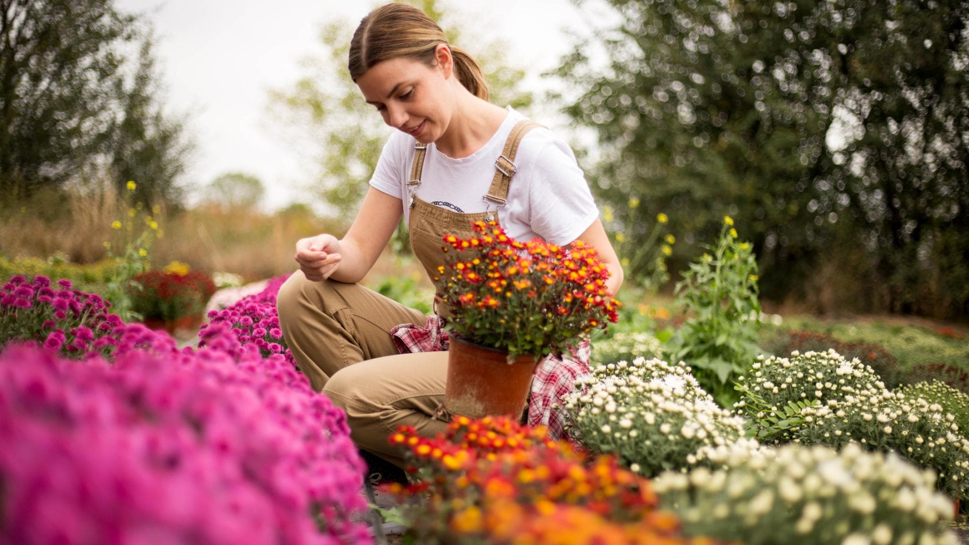 Was im Herbst pflanzen? 