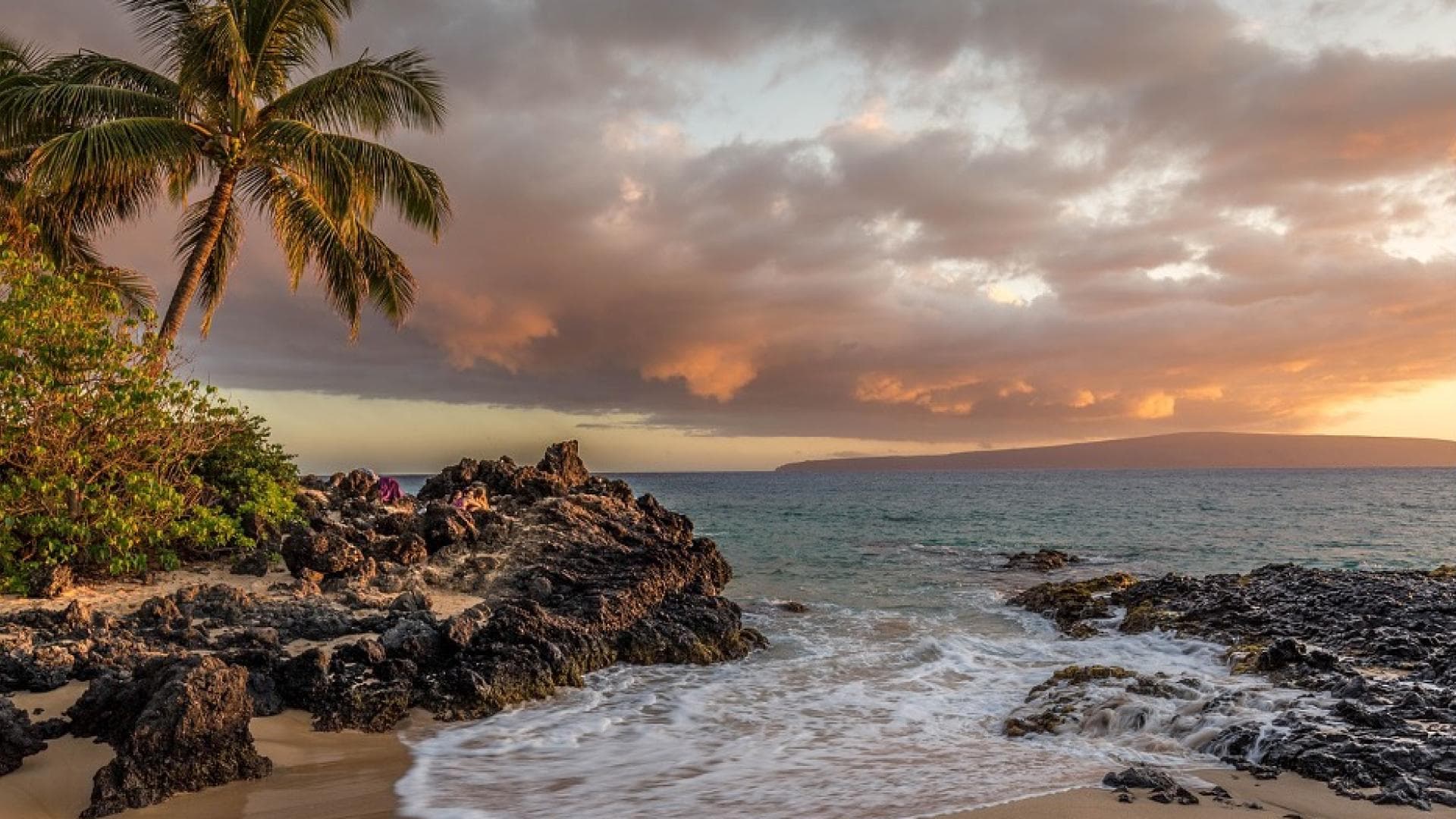 Ein weißer Sandstrand mit Palmen
