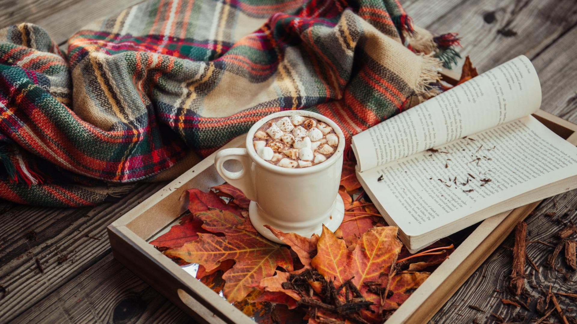 Ein heißes Getränk, ein Buch und eine Decke sorgen für eine perfekte Auszeit im Herbst