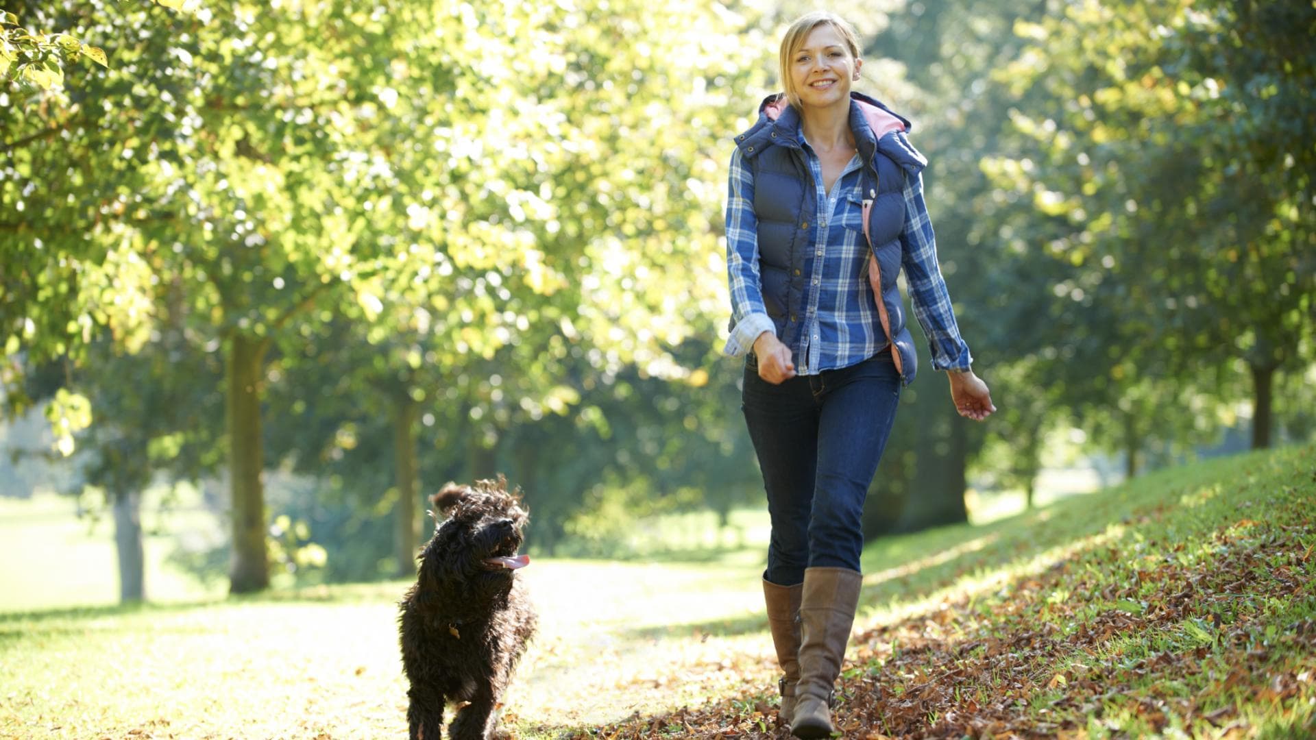 Frau spaziert mit Hund einen Weg entlang - Hilfreiche Tipps um im Alltag abzunehmen
