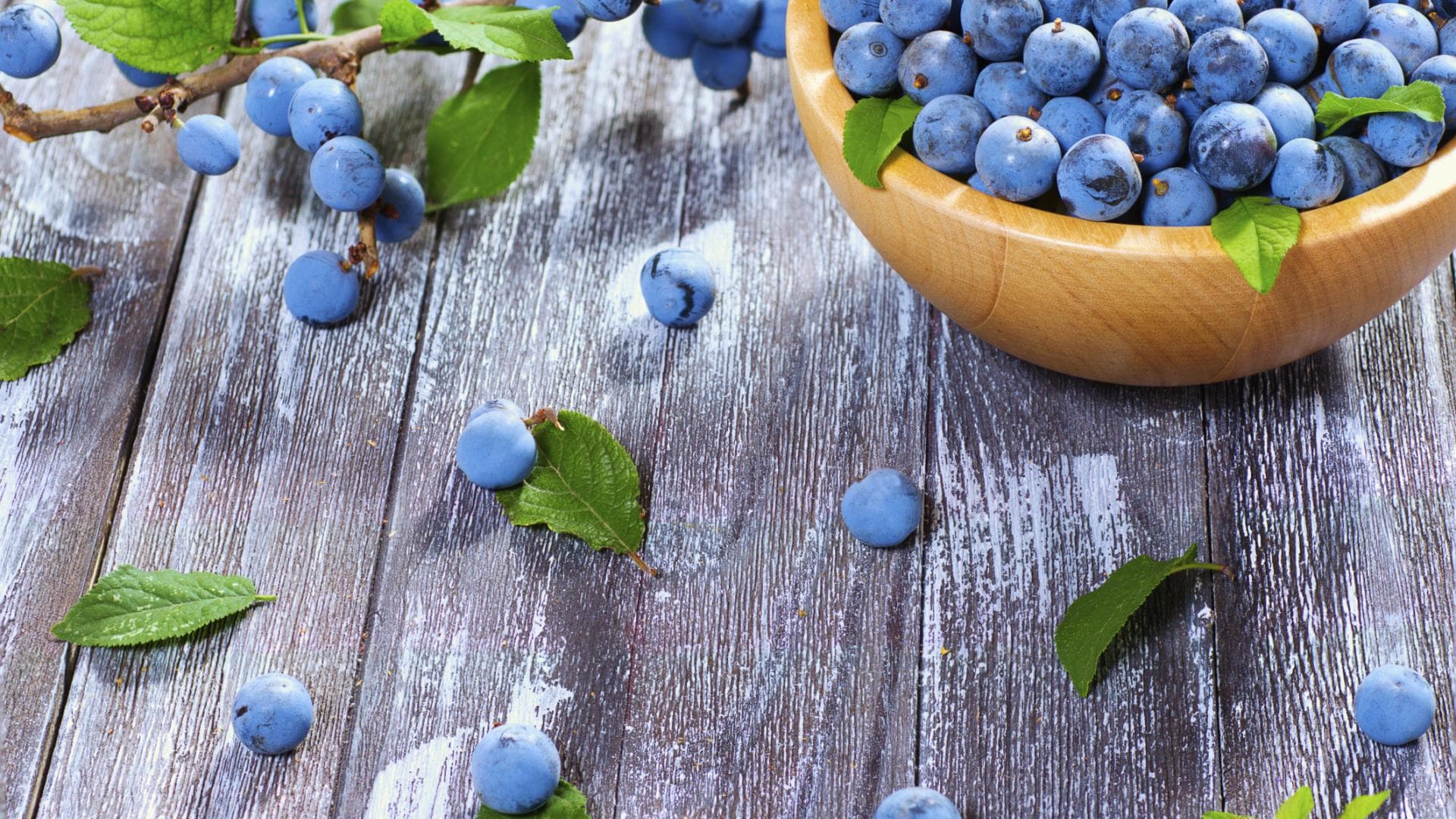 Schlehen in Schale - Alles über Schlehen - Rezepte und Tipps 