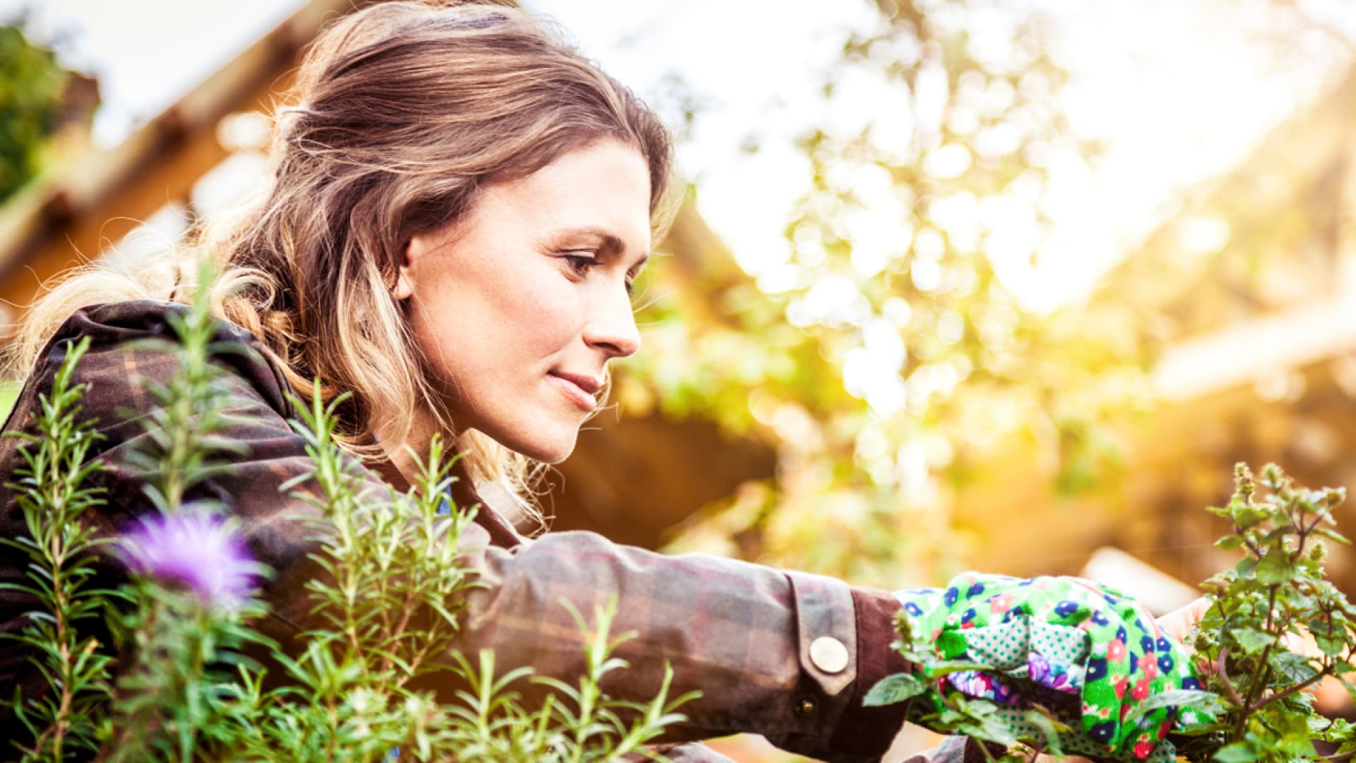 Frau mit Gartenhandschuhen beschneidet Pflanzen