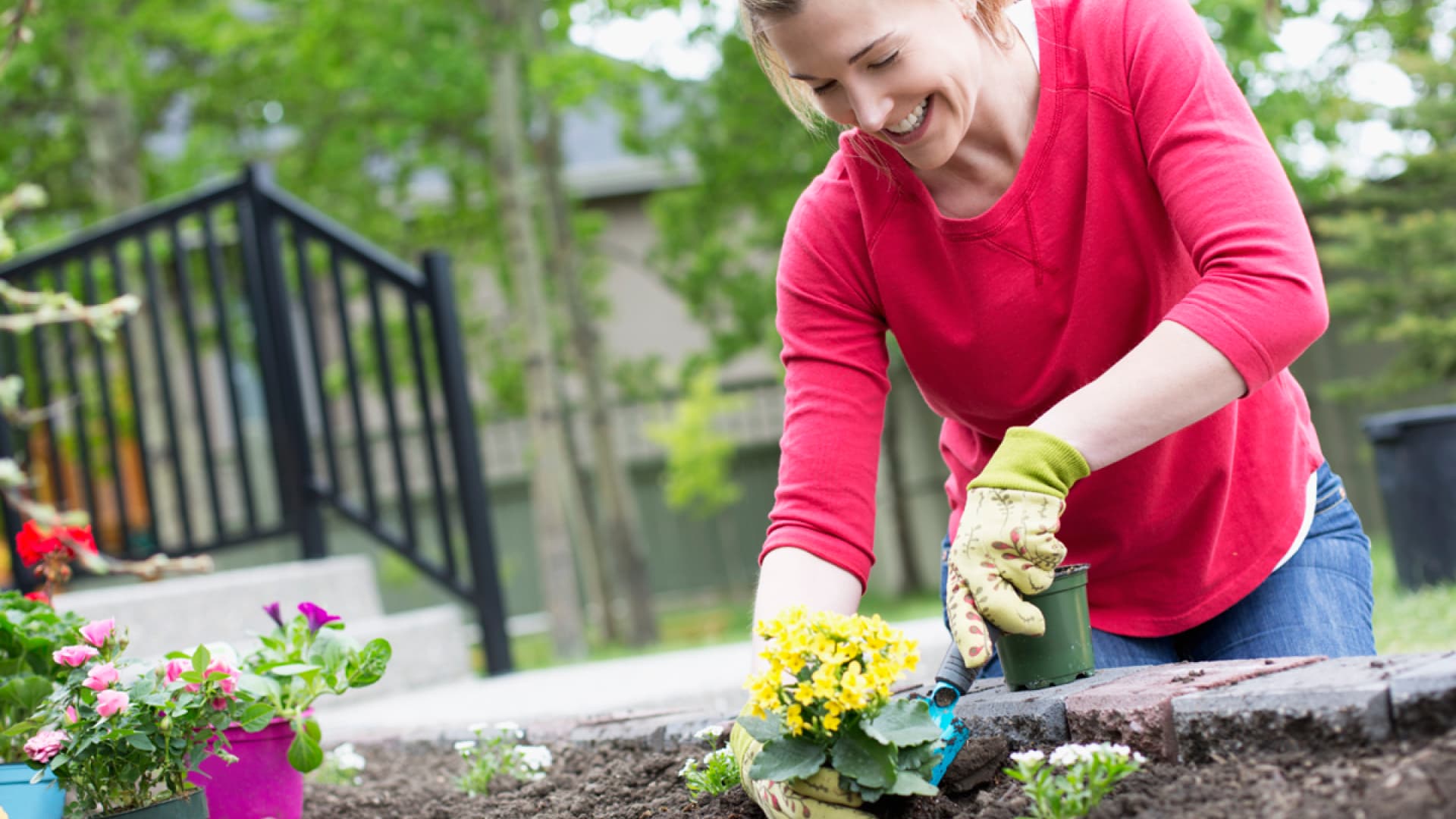 Frau mit Gartenhandschuhen pflanzt Blumen in ein Beet