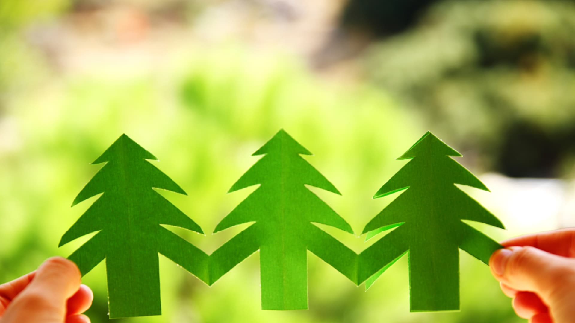 Eine Girlande aus grünen Papier-Tannen 