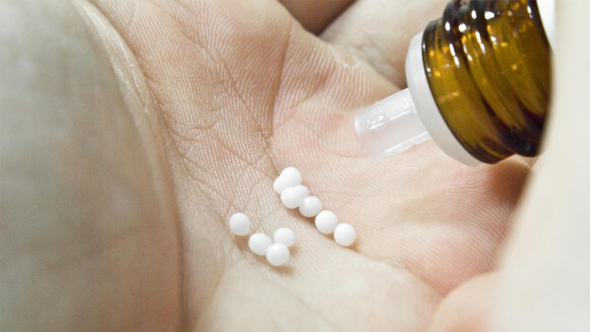 Diese sechs Frühlings-Profis machen Sie topfit