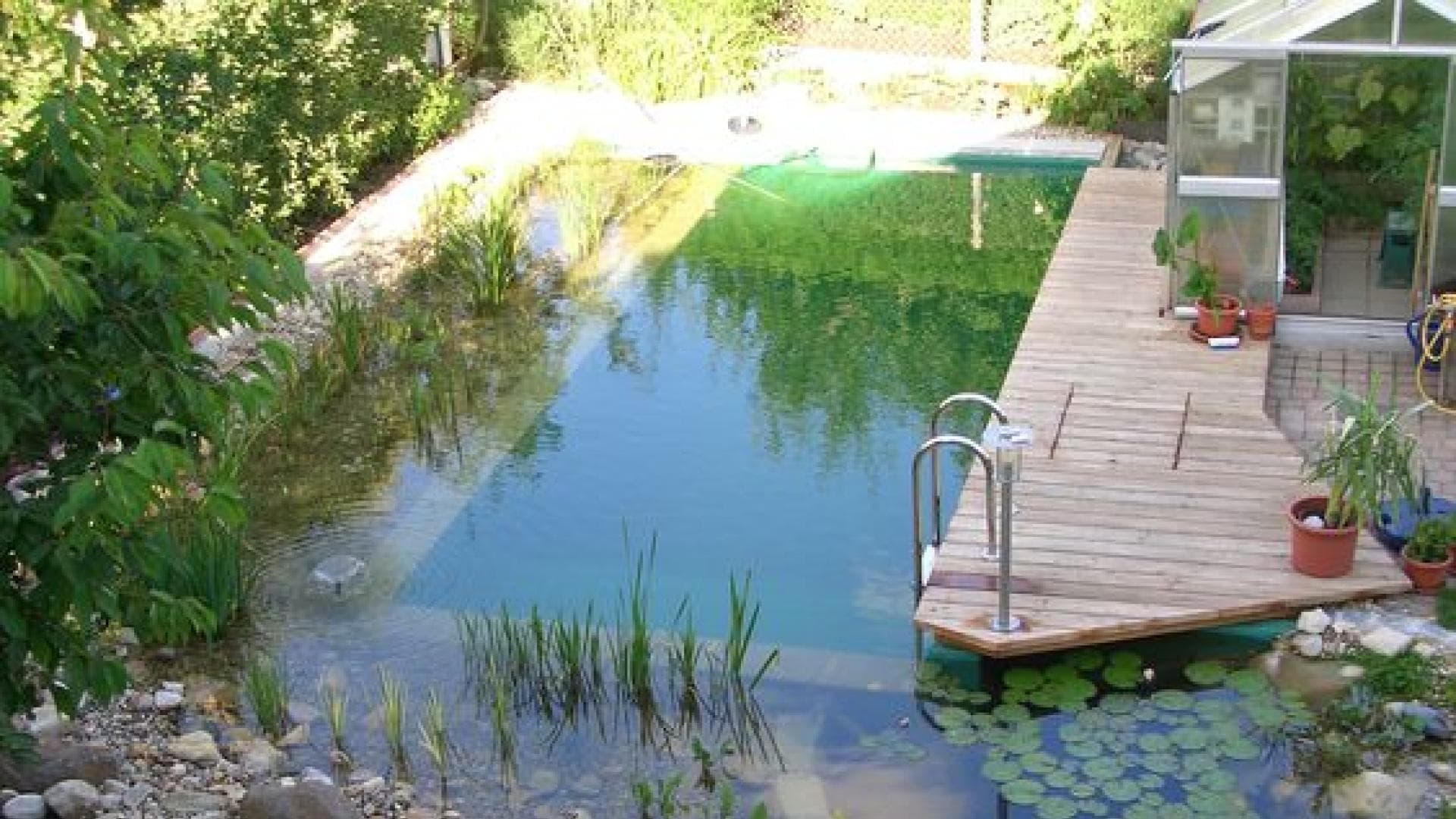 Badeteich für den Garten