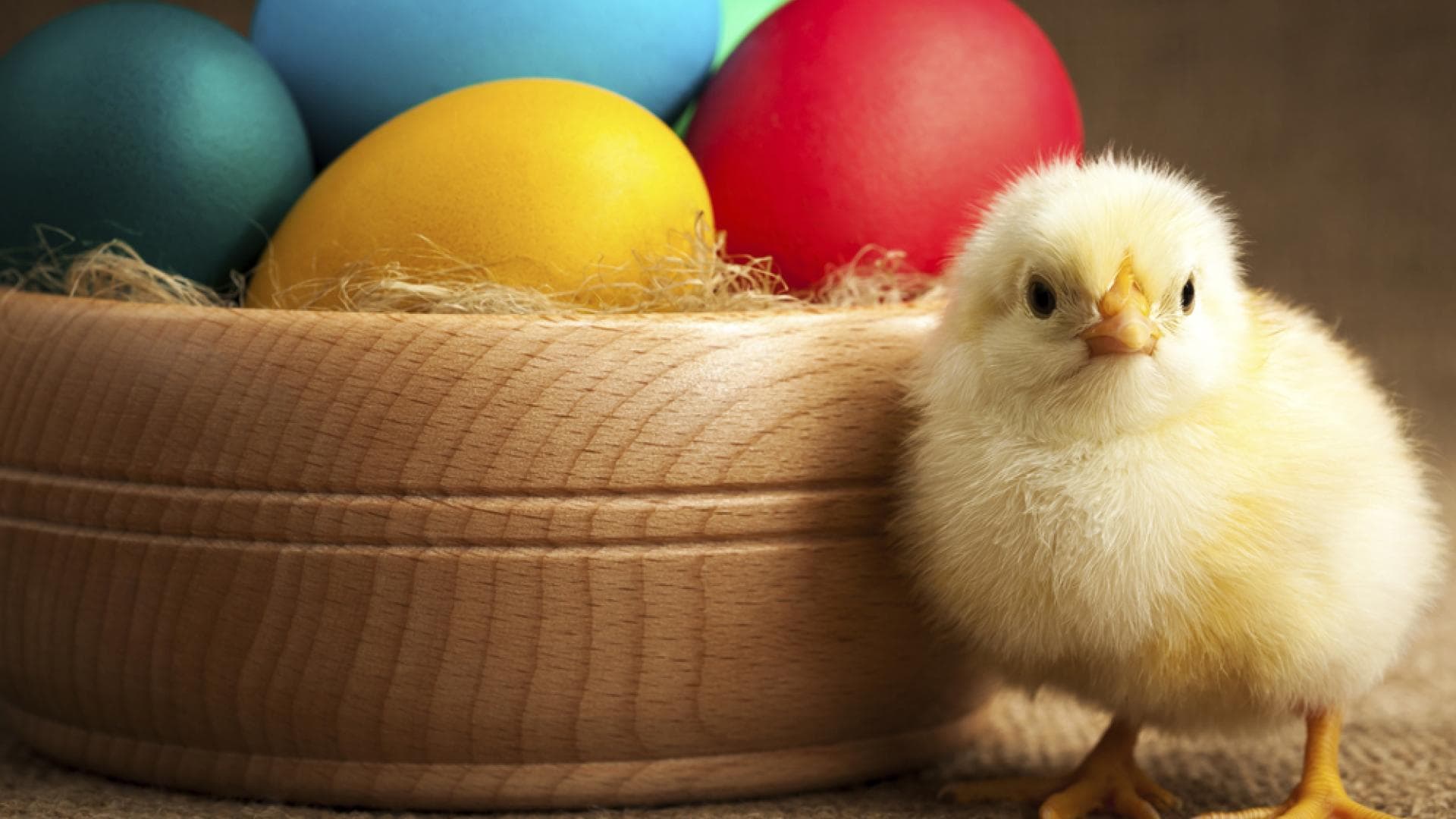 Ostern - Hier finden Sie unsere schönsten Gedichte und Sprüche für Ostern