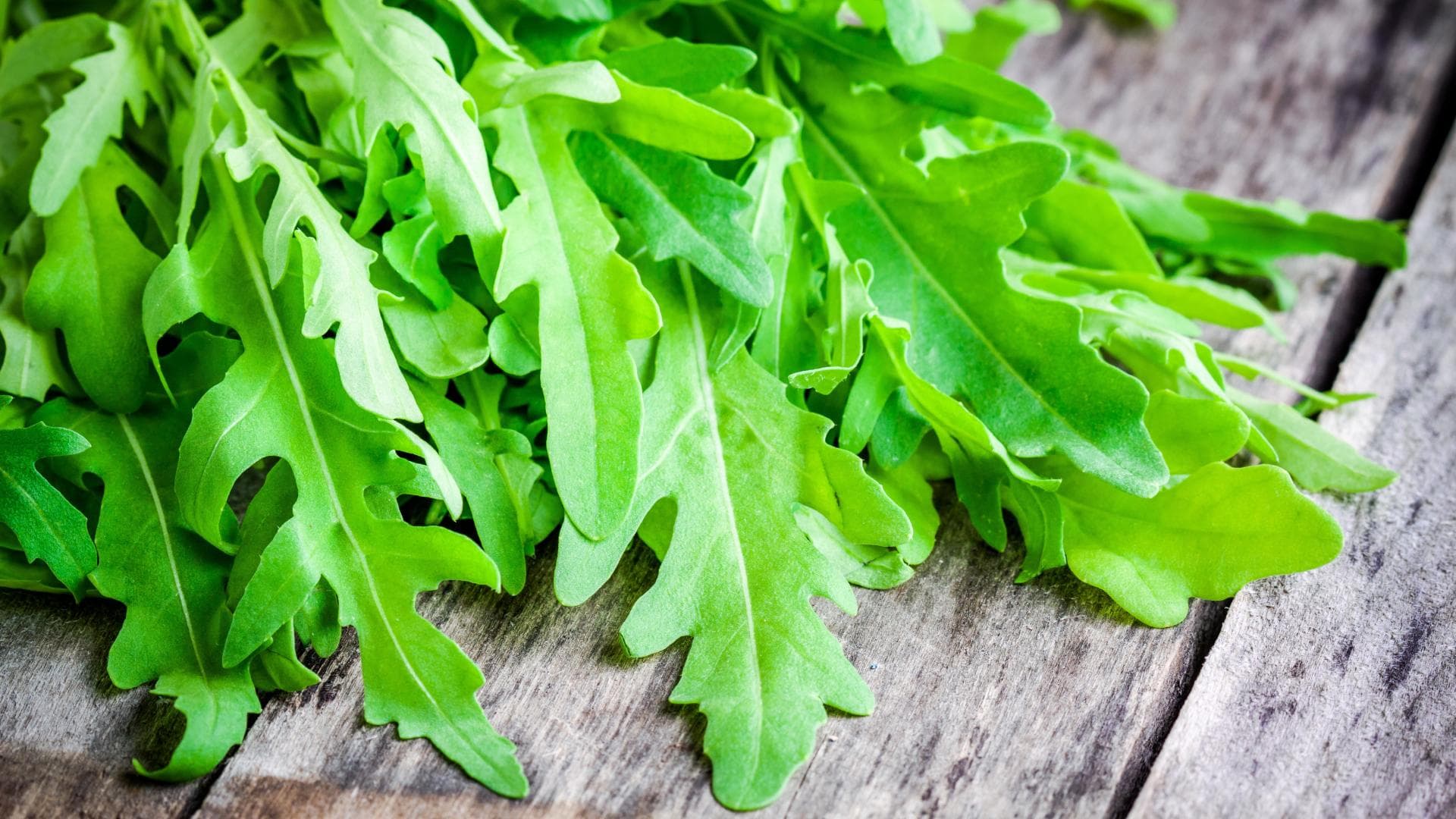 Rucolasalat Rezepte