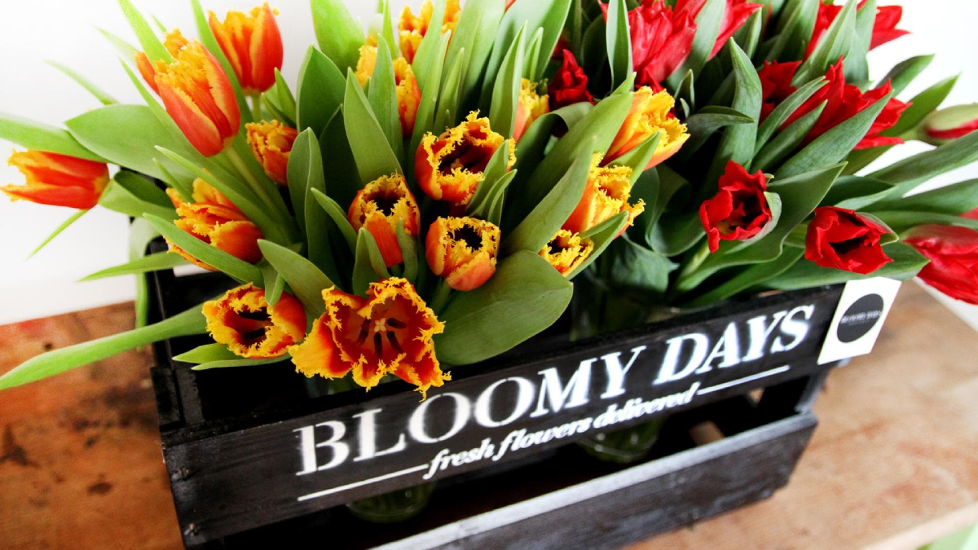 Tulpenkiste