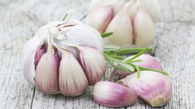 Knoblauch