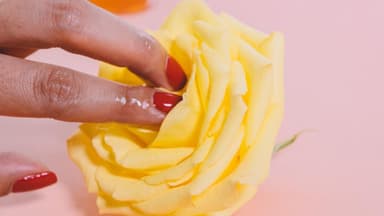 Finger in Rose