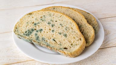 Verschimmeltes Brot
