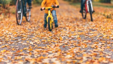 Fahrradfahren im Herbst