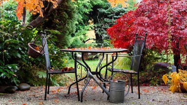 Garten im Herbst