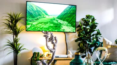 Fernseher mit Naturbild