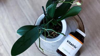 Vitalrin im Selbsttest