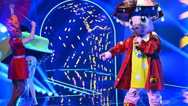 The Masked Singer Schwein Kathrin Müller-Hohenstein