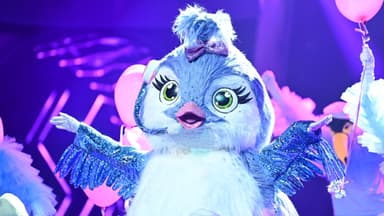 The Masked Singer Küken
