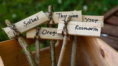 Holzschilder für Pflanzen
