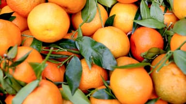 Orangen