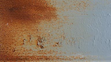 Rost
