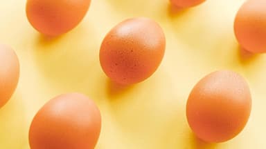 Eier