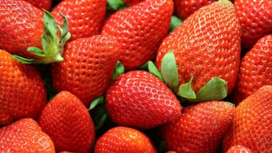 Erdbeeren 
