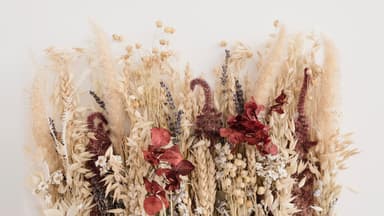 Blumen trocknen 