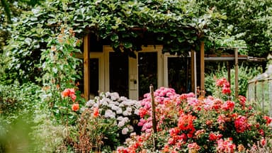 Allergikerfreundlicher Garten 