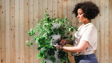 Frau Gartenarbeit