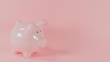 Sparschwein