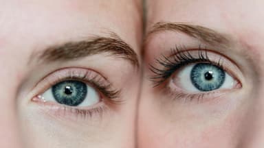 Wimpern 