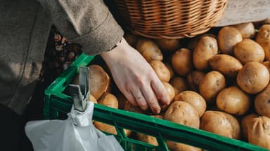 Welche Kartoffeln für welches Gericht? 