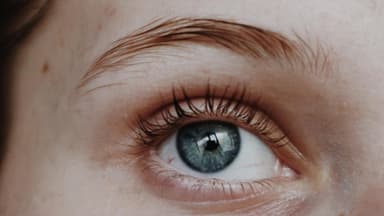 Nahaufnahme von Auge