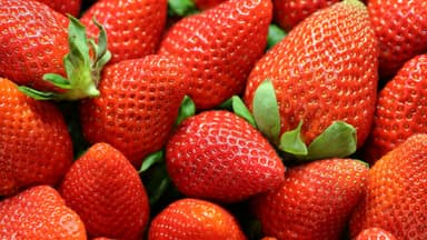 Mit Salzwasser gewaschene Erdbeeren
